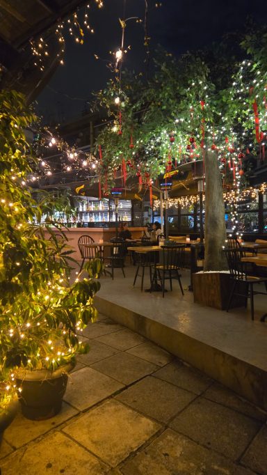 A cafe with chairs and tables, hanging branches overhead and twinkling lights